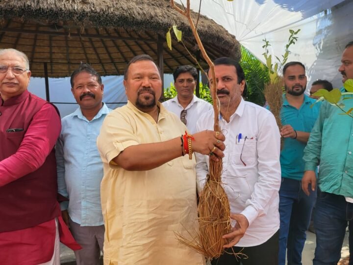 जिला सहकारी बैंक अध्यक्ष ने अपनी नानी की याद में बांटे 400 पौधे