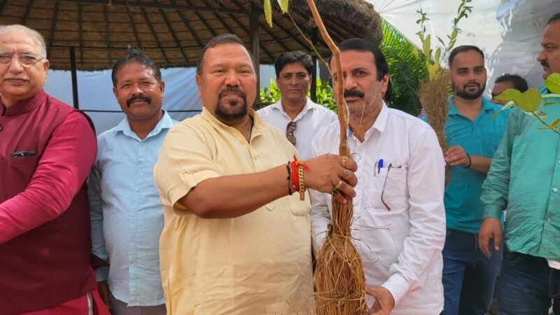 जिला सहकारी बैंक अध्यक्ष ने अपनी नानी की याद में बांटे 400 पौधे