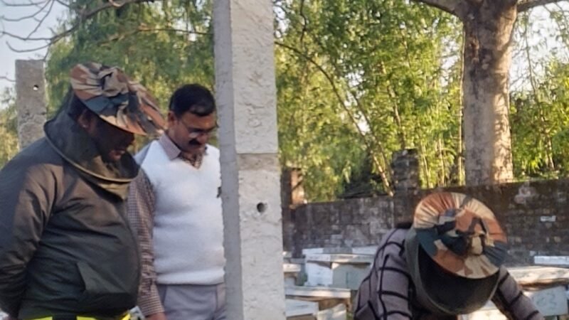 सीएचओ ने मौन पालन का किया निरीक्षण