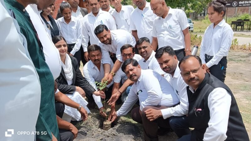 सिविल न्यायालय परिसर में चलाया स्वच्छता अभियान।