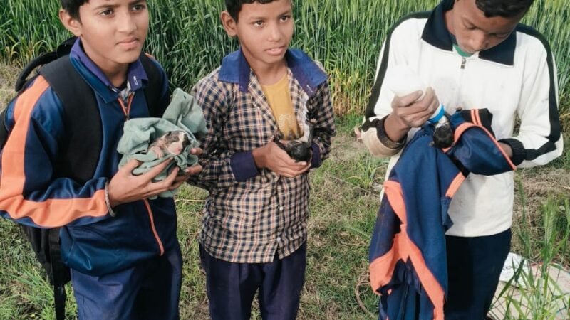 GOOD JOB-बैग में बंद कर कुत्ते के बच्चे फेंके स्कूली छात्रों ने बचाई जान