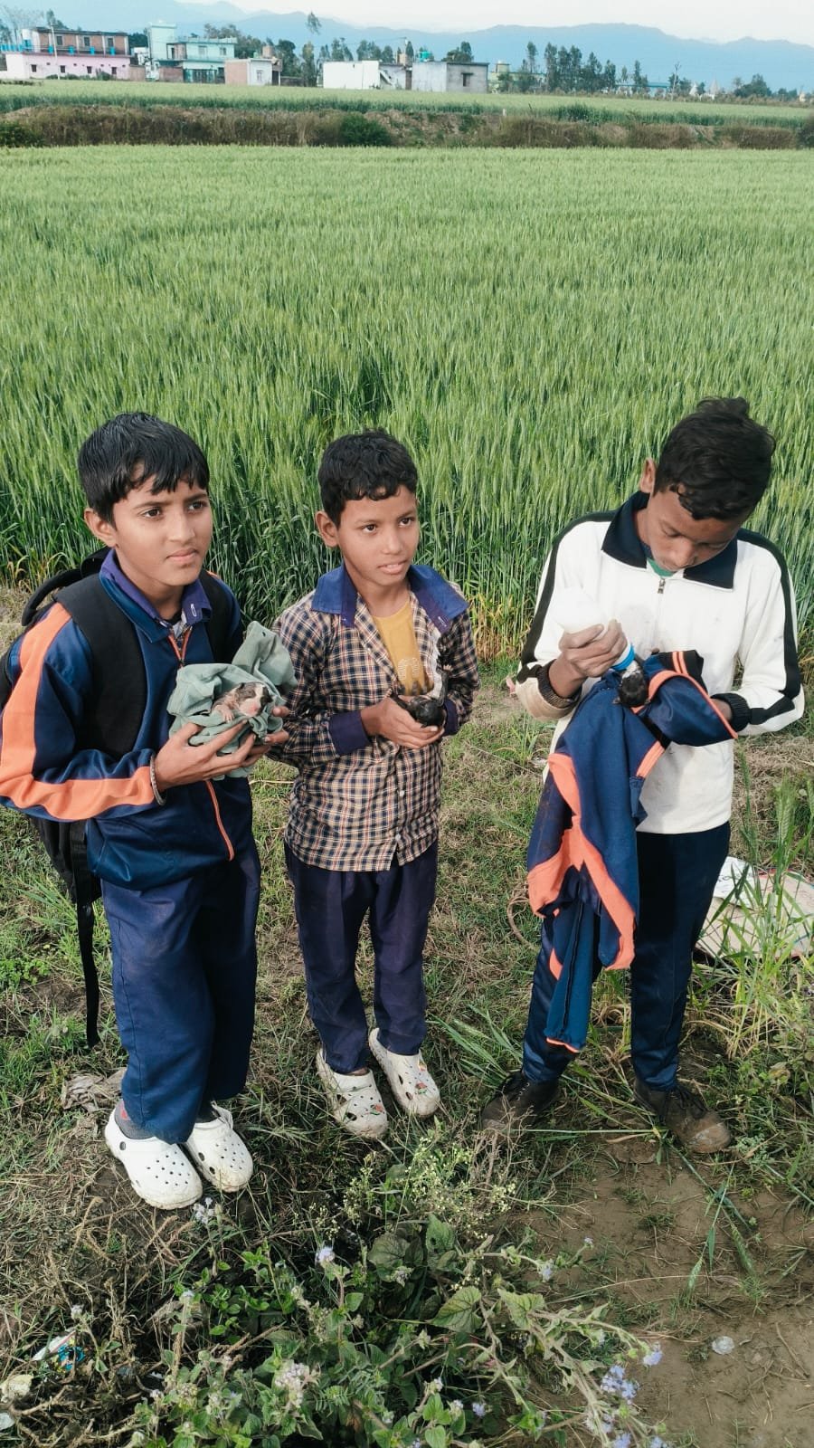 GOOD JOB-बैग में बंद कर कुत्ते के बच्चे फेंके स्कूली छात्रों ने बचाई जान